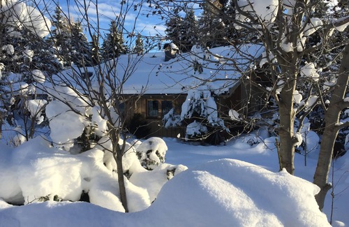 Hochkrimml Apartment | Beautiful apartment with terrace and garden, free mountain view, 200m to the lift, dogs yes