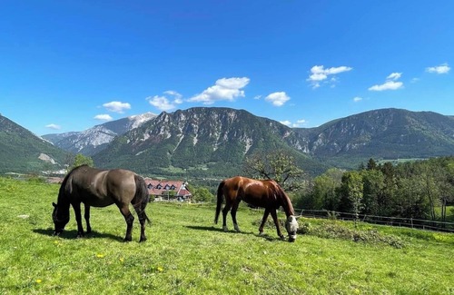 Reichenau an der Rax Apartment | Beautiful, quiet vacation apartment at the Mariengestüt am Kreuzberg