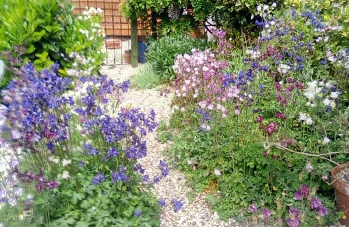 Douriez House | Beautiful Barn Conversion in a quiet village with Restaurant and boulangerie