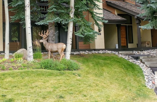Avon House | Beautiful Beaver Creek Ski in/out townhome close to Ski In/Out
