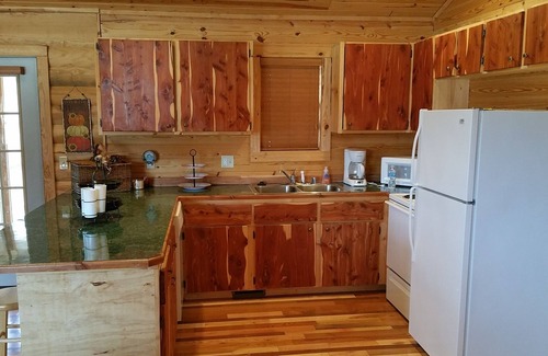 Mountain View Cabin | Beautiful cabin style home backing up on the White River!