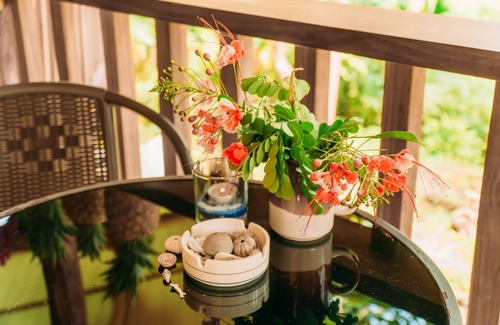 Cahuita House | Beautiful Cabin Surroundet by Nature in Cahuita
