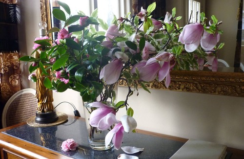 Saint Albans House | Beautiful Christcurch Villa In Park Like Gardens