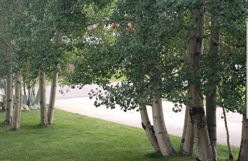 Frisco Condo | Beautiful Condo 1 block off Main St in Frisco