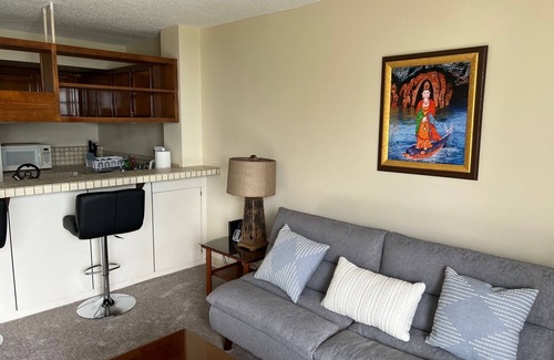 Hilo Condo | Beautiful Condo in the Heart of Hilo - Pool - A/C #718