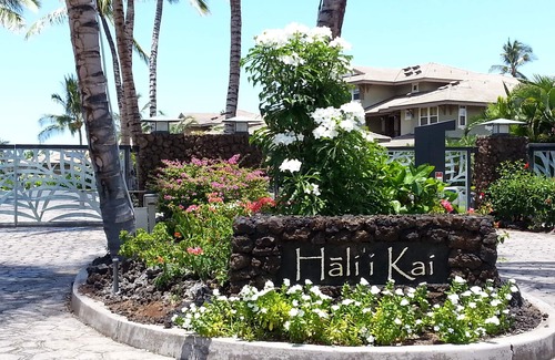 Waikoloa Condo | BEAUTIFUL! Cooks Landing at Hali'i Kai 18H