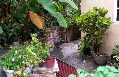 Gordon Town Cottage | Beautiful Cottage in the Blue Mountains from $90/Night/Guest