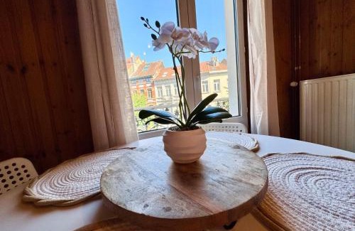 Ixelles Apartment | Beautiful cozy Duplex