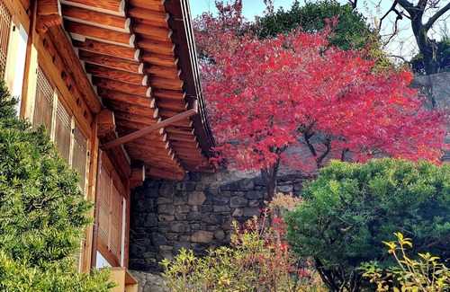 Hyehwa House | Beautiful & cozy relaxation in a traditional Korean house. Wonderful memory!