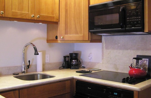 Columbia Apartment | Beautiful Efficiency: full size kitchen, pet & 420 friendly, walk to everything