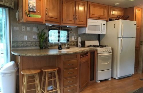 Salt Springs House | Beautiful Get-away - Ocala National Forest @ Salt Springs Resort- Loaner kayaks!