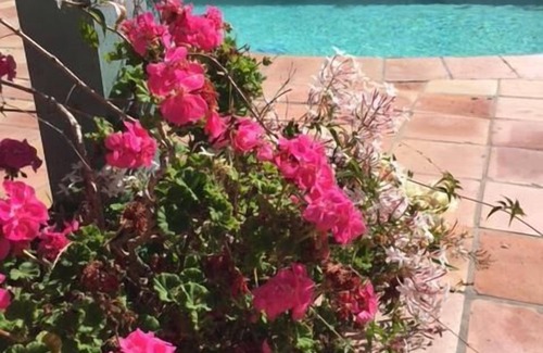 West Mesa House | Beautiful home, 1/2 block from ocean, with pool, garden, available Fall '25