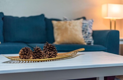 Mahncke Park Apartment | Beautiful Home at the Botanical Gardens (#5)