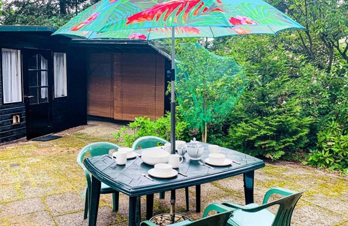Hattemerbroek House | Beautiful home in Hattemerbroek