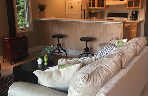 Saugatuck House | Beautiful Lake View, Newly-Remodeled Home~Contemporary,