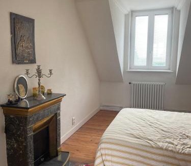 Louhans Villa | Beautiful Master House Louhans center