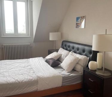 Louhans Villa | Beautiful Master House Louhans center