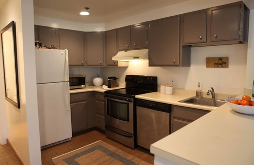 Buena Vista Apartment | Beautiful, modern 1br garden space and central location