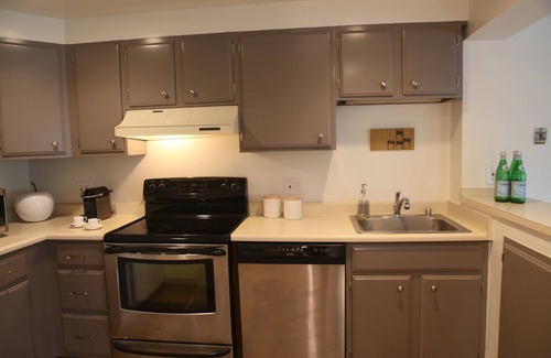Buena Vista Apartment | Beautiful, modern 1br garden space and central location