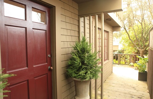 Buena Vista Apartment | Beautiful, modern 1br garden space and central location