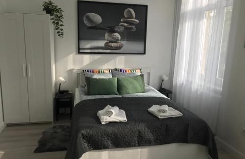 Istvanmezo Apartment | Beautiful newly refurbished studio,fully equipped apartment walking distance to the City Park where you will find the world famous Szechenyi thermal bath spa, Museums , and the Capital Circus , AC, smart TV, high speed internet