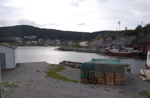 Newfoundland House | Beautiful Ocean front property in the scenic fishing village of Englee, NL