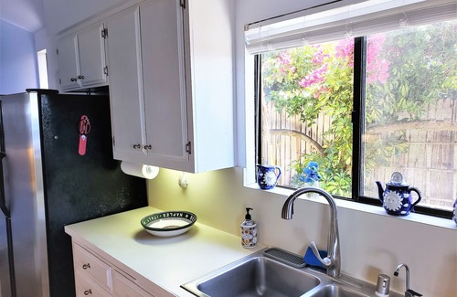 Leucadia House | Beautiful Oceanfront Home, Gorgeous Views, jacuzzi, Deck and Patio! Best Value!