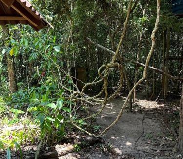 Alter do Chao House | Beautiful open house in the forest
