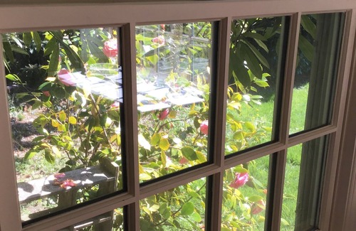 Boulevard Bluffs House | Beautiful Private Park-Like Setting with Water and Mountain Views, Great Wifi