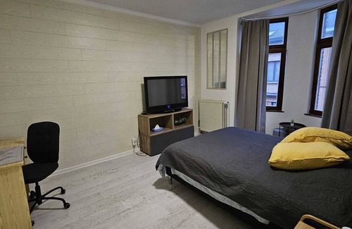 Evere Apartment | Beautiful, Renovated Fully Self Contained Room