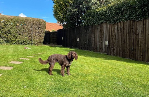 Sewerby Cottage | Beautiful Seaside Cottage, sleeps 5 & dog friendly
