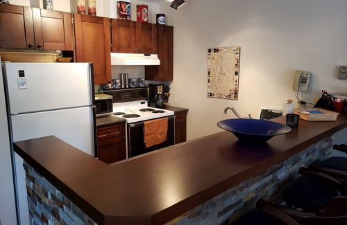 East Kootenay Condo | Beautiful Ski Hill 1 BR Condo