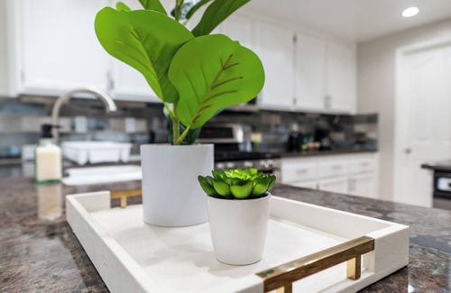 North Tustin House | Beautiful Spacious Home Minutes to Disney