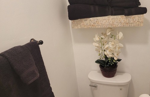 Bakersfield House | Beautiful spacious Suite guest house