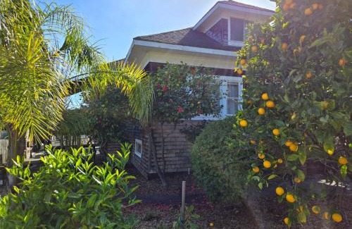 San Rafael House | Beautiful Spacious Victorian Garden Oasis Central, Gated, Deck, BBQ
