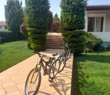 Oropos Villa | Beautiful Summer Villa in Chalkoutsi