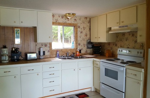 Leesville House | Beautiful Sunrises! Lakefront Family Getaway on Lake Murray w/Private Dock WiFi