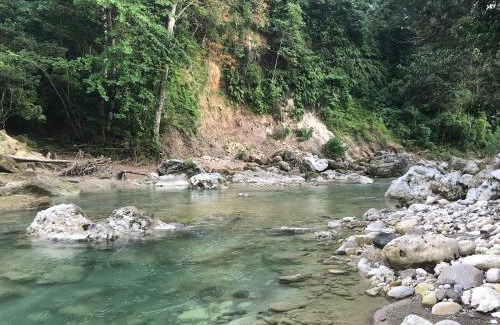 Summerfield Apartment | Beautiful Tropical Eco Cabin with Private River