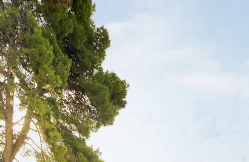 Petrcane Villa | Beautiful Villa Pinea