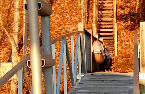 Pittsville Cabin | Beautiful waterfront lodge with private dock and breath taking view of Smith Mt.
