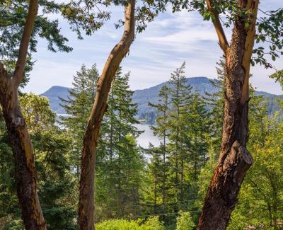 Eastsound House | Beautiful Waterviews, Pet-friendly, Close To Town