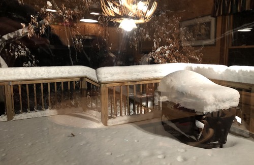 Elmira Cottage | Beautiful wooded setting in Lakes of the North!