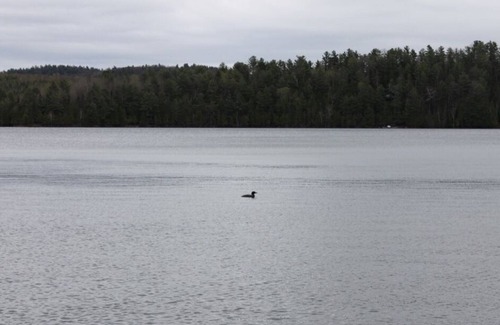 Northfield Cottage | Beautiful year-round retreat on Heney Lake