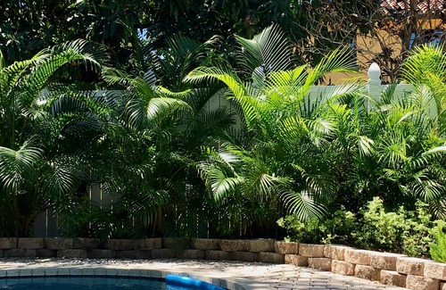 East Fort Lauderdale House | Beautifully designed tropical oasis 600 steps to the beach