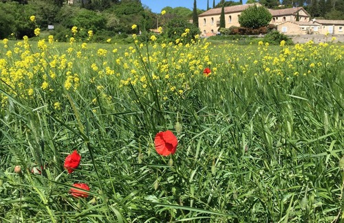 Uzes Apartment | Beautifully Appointed Apartment metres away from the Place aux Herbes. Sleeps 2