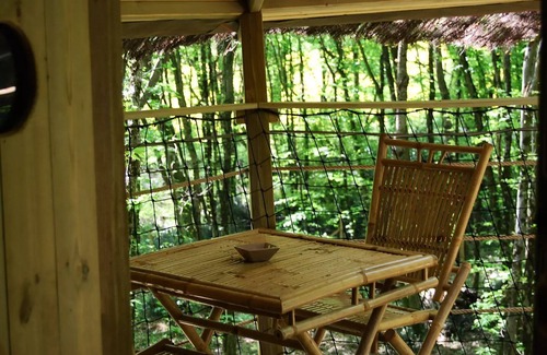 Salles-en-Toulon House | Beauty Park - Hulotte cabin 2 people