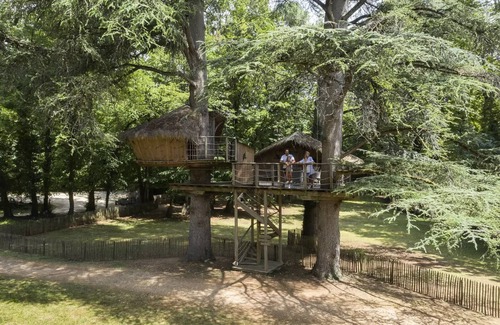 Salles-en-Toulon House | Beauty Park - Hulotte cabin 2 people
