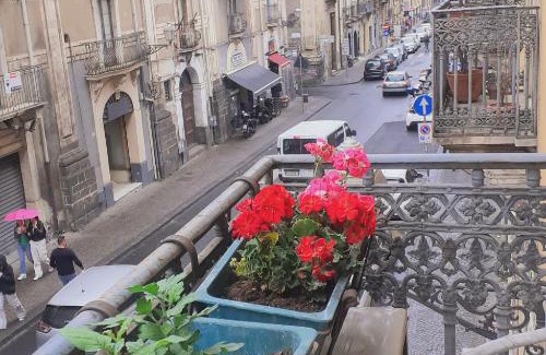 Catania City Centre Bed & Breakfast | Bed and Books Isabella