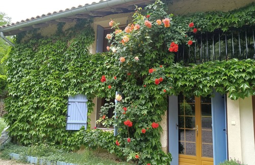Montestruc-sur-Gers Bed & Breakfast | Bed and breakfast "L'Estivale", nature and relaxation