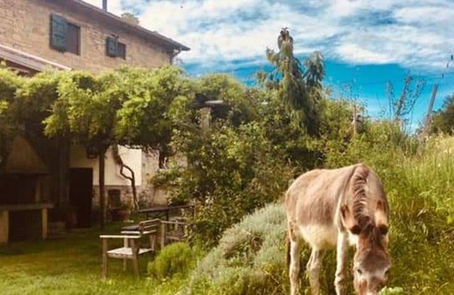 Premilcuore Bed & Breakfast | Bed and breakfast